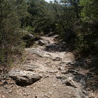 Photo de France - La randonnée du lac des Olivettes